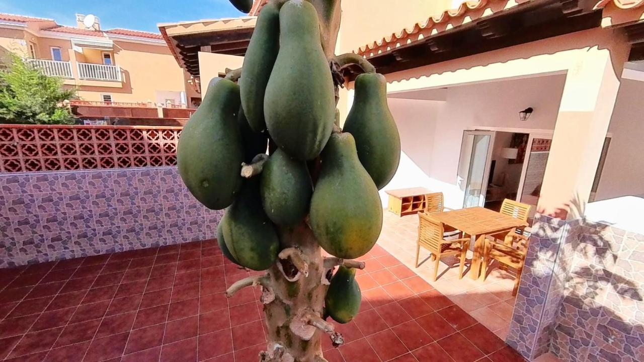 La Casa De La Papaya, By Comfortable Luxury Corralejo Buitenkant foto